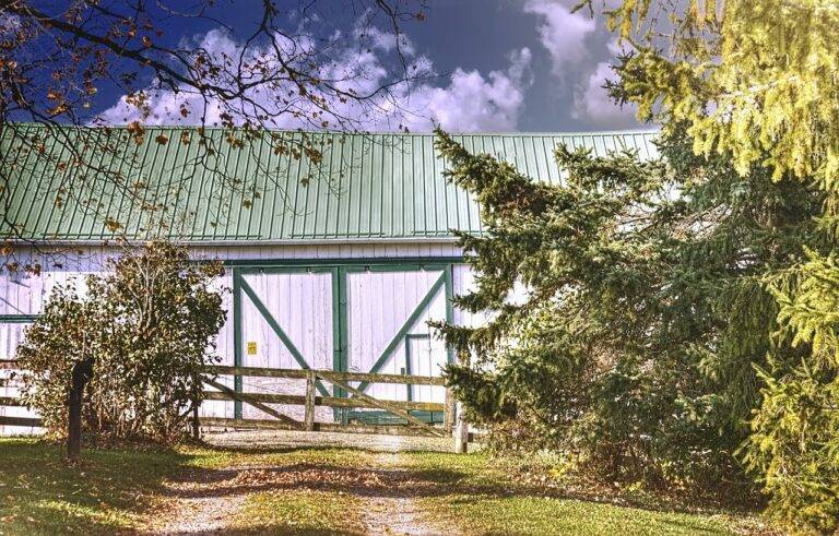 Metal Roofing: Enhancing Heritage Conservation Sites: 99exch.com login, Laser247 com, Yolo 24/7 login