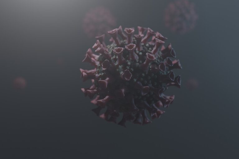 Neurological Factors in Cricket Player Technique Development: 11xplay reddy login password, Diamondexch9 id, Skyexchange id